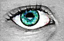 eye Pictures, Images and Photos