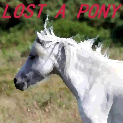 Lost A Pony