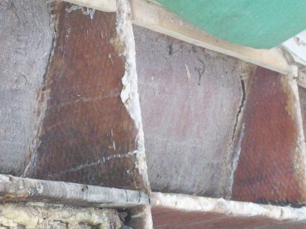 100_0459.jpg