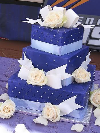 Purple and White Wedding Cakesquare wedding cake iced in purple butter 