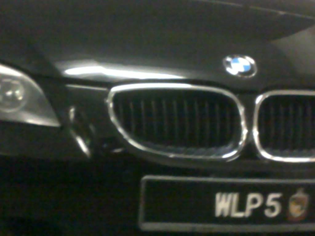 WLP5.jpg