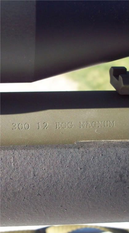 100_2556.jpg