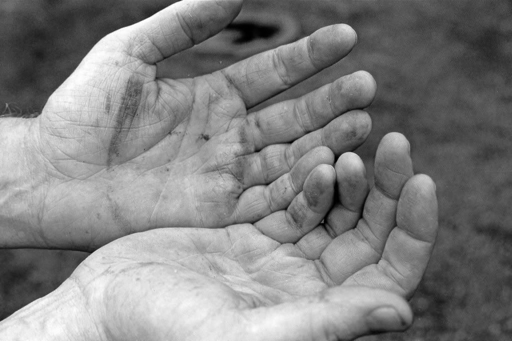 IMAGE: http://i657.photobucket.com/albums/uu298/Retarted_Geese/8-1.jpg