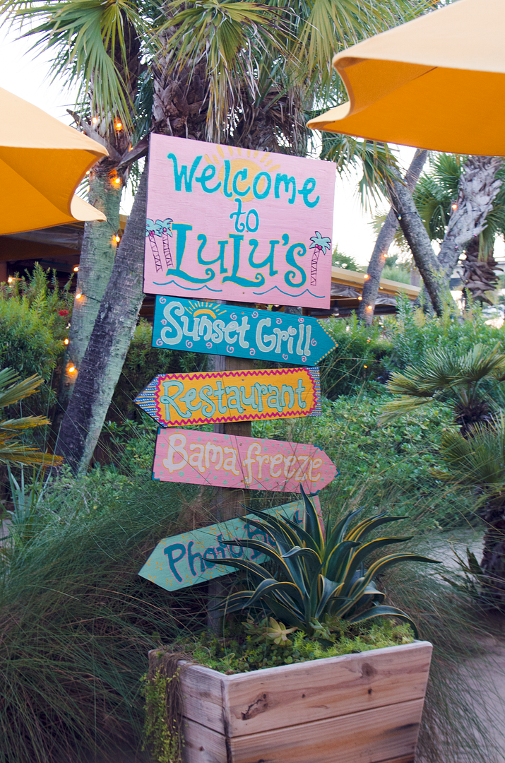 photo DSC_8613.png