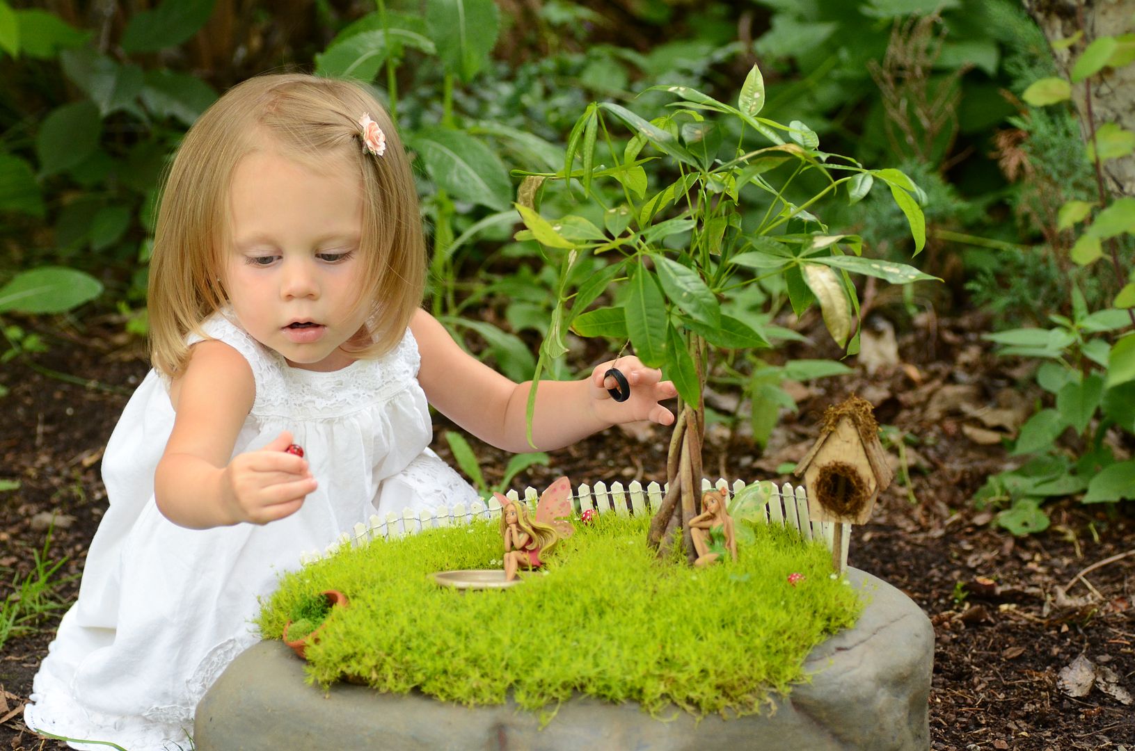 Pillow Thought Diy Fairy Garden Behind The Scenes