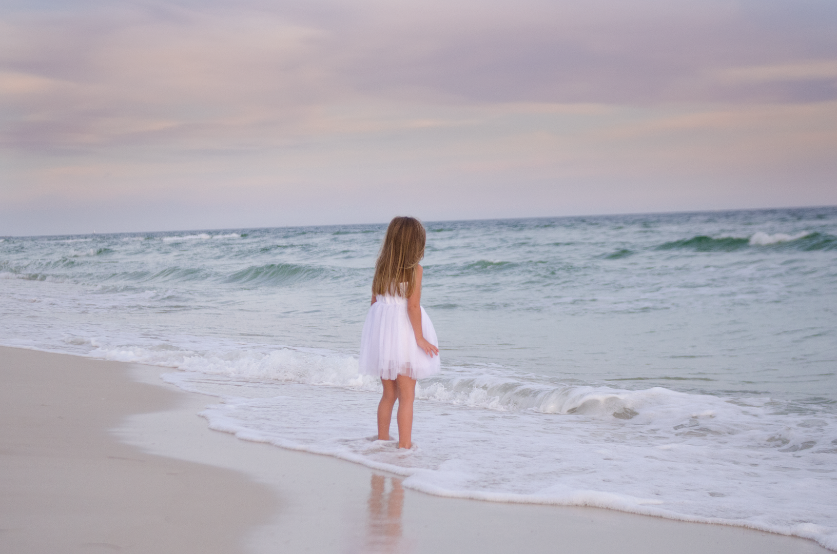 photo DSC_8094.png