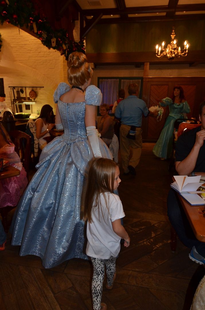 photo DSC_1825.jpg