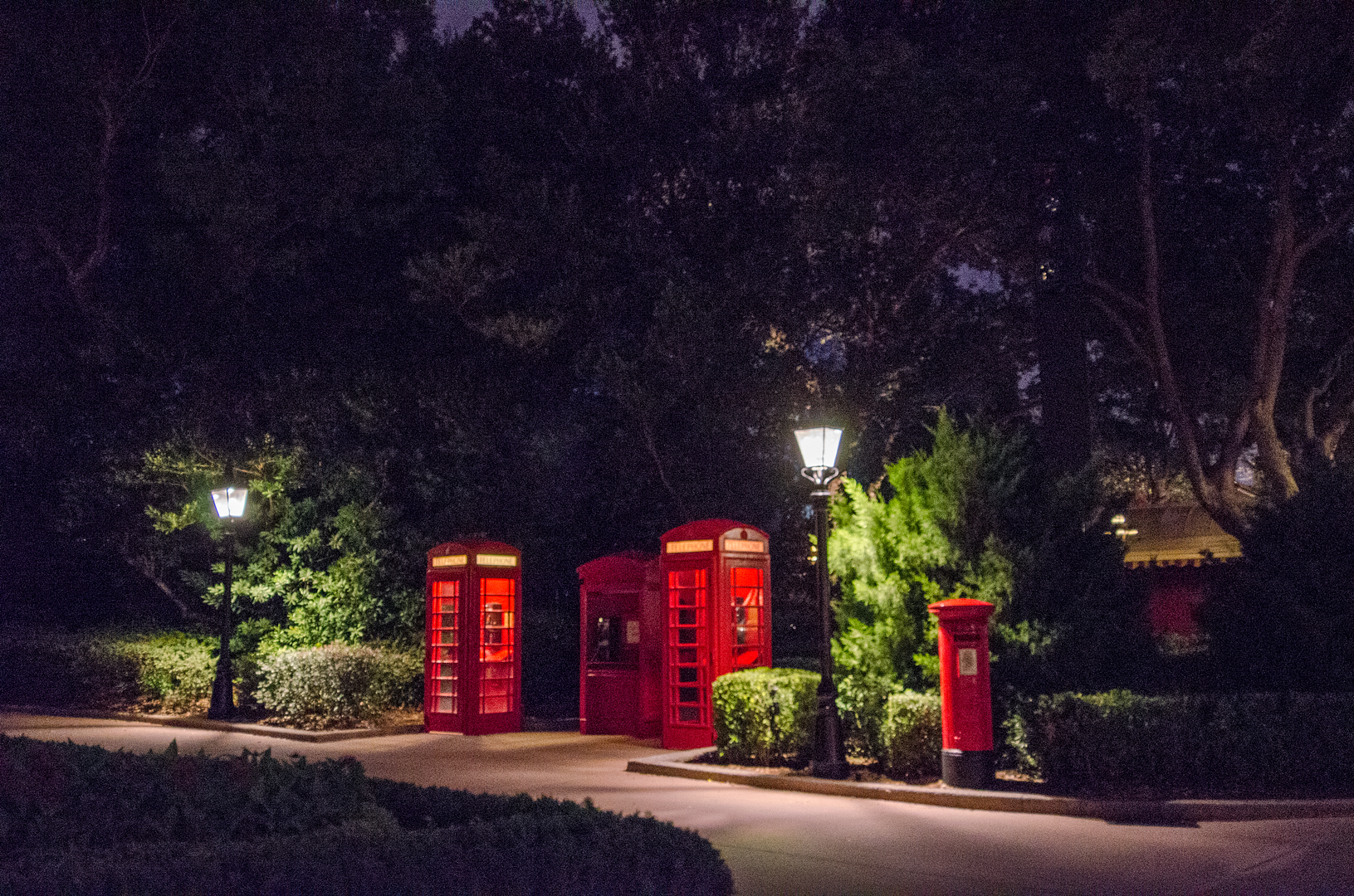 photo DSC_1903.png