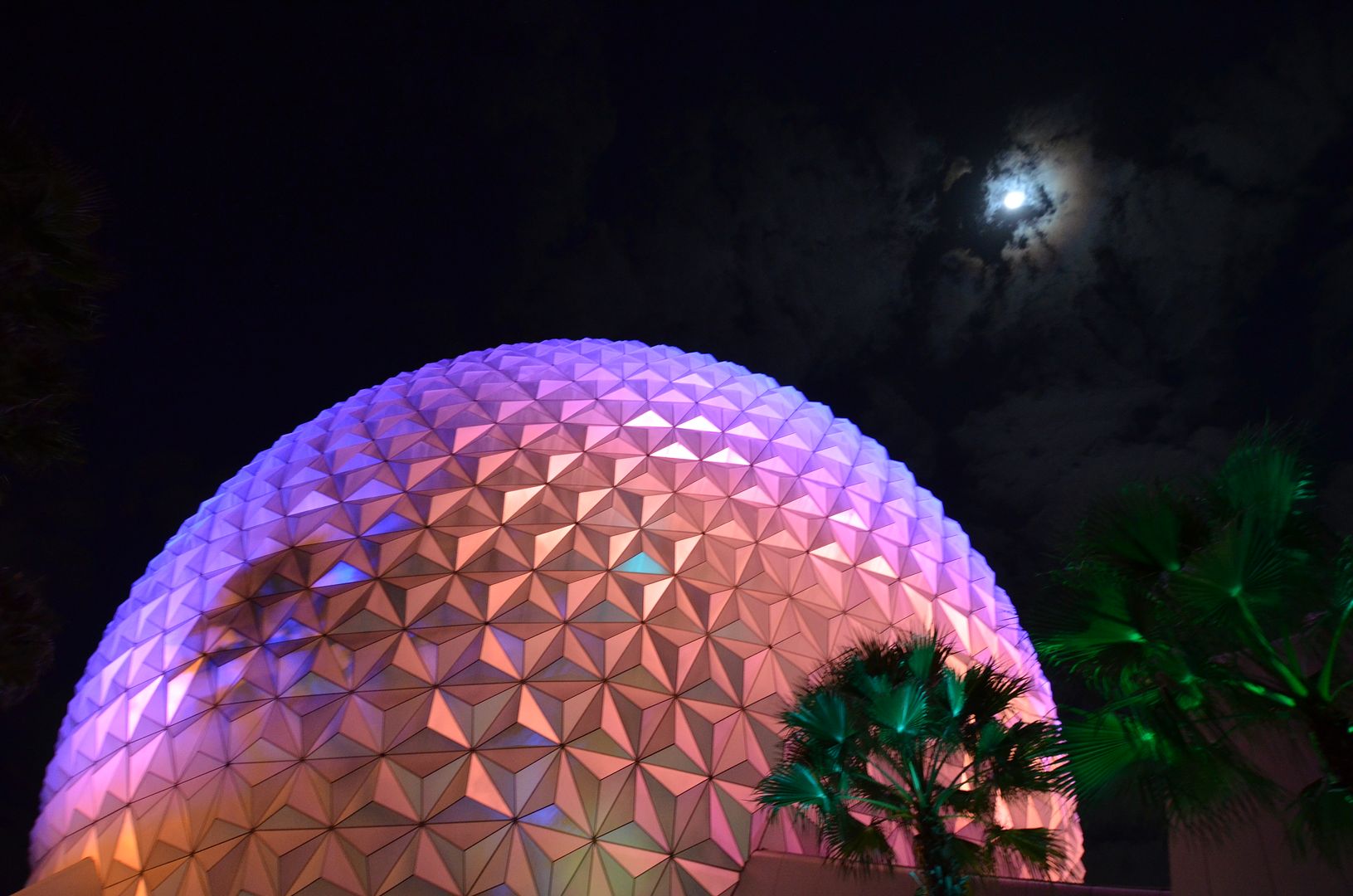 photo DSC_1931.jpg