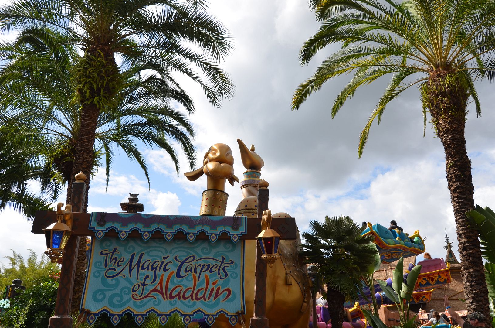 photo DSC_2032.jpg