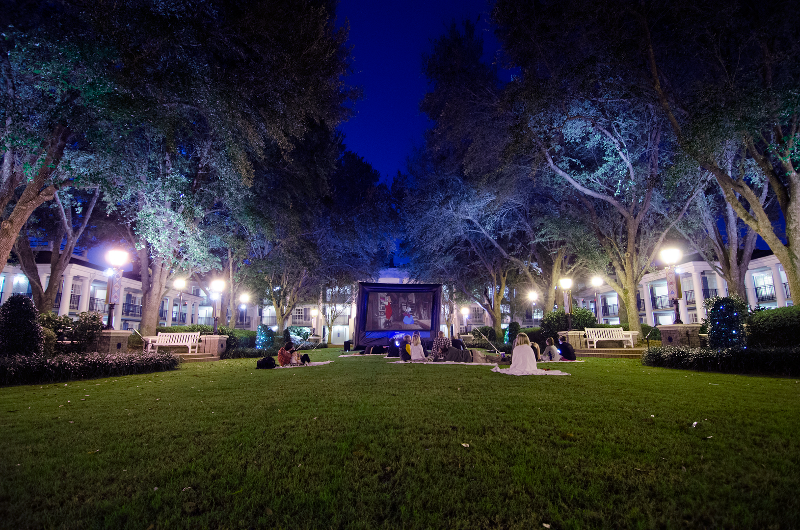 photo DSC_2166.png