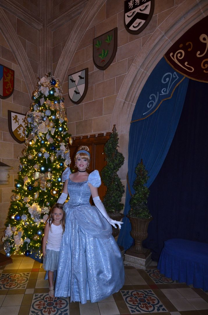 photo DSC_2684.jpg
