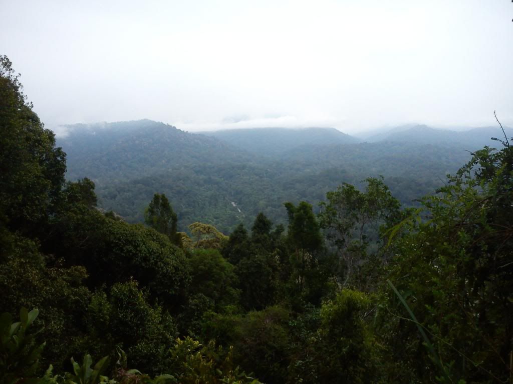 DSC00078.jpg