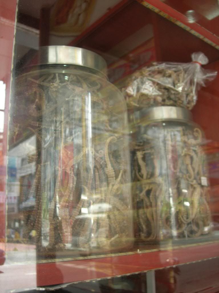 IMG139.jpg