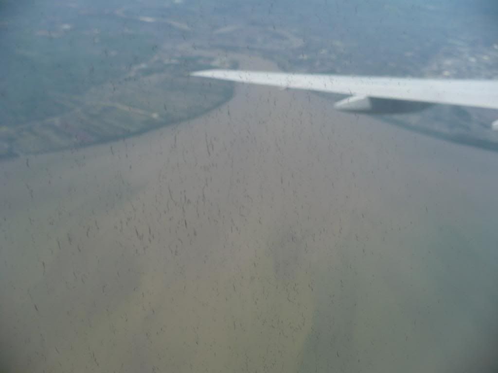 IMG195.jpg