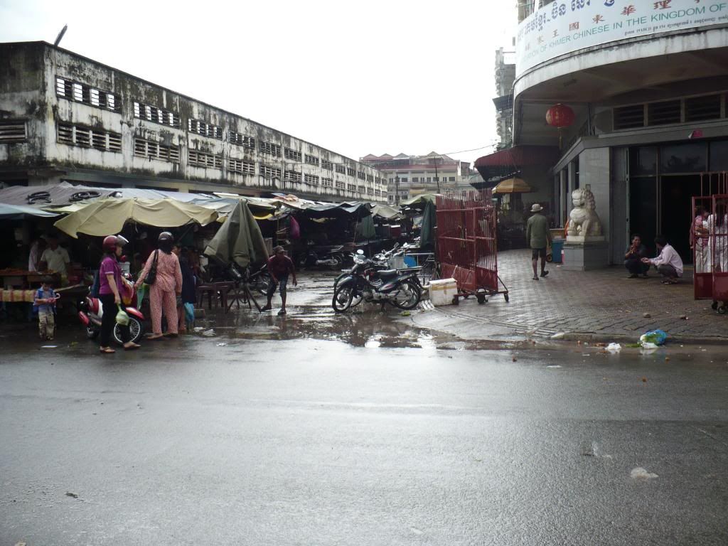 IMG229.jpg
