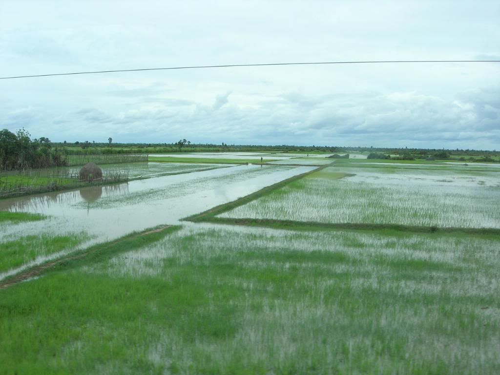 IMG302.jpg