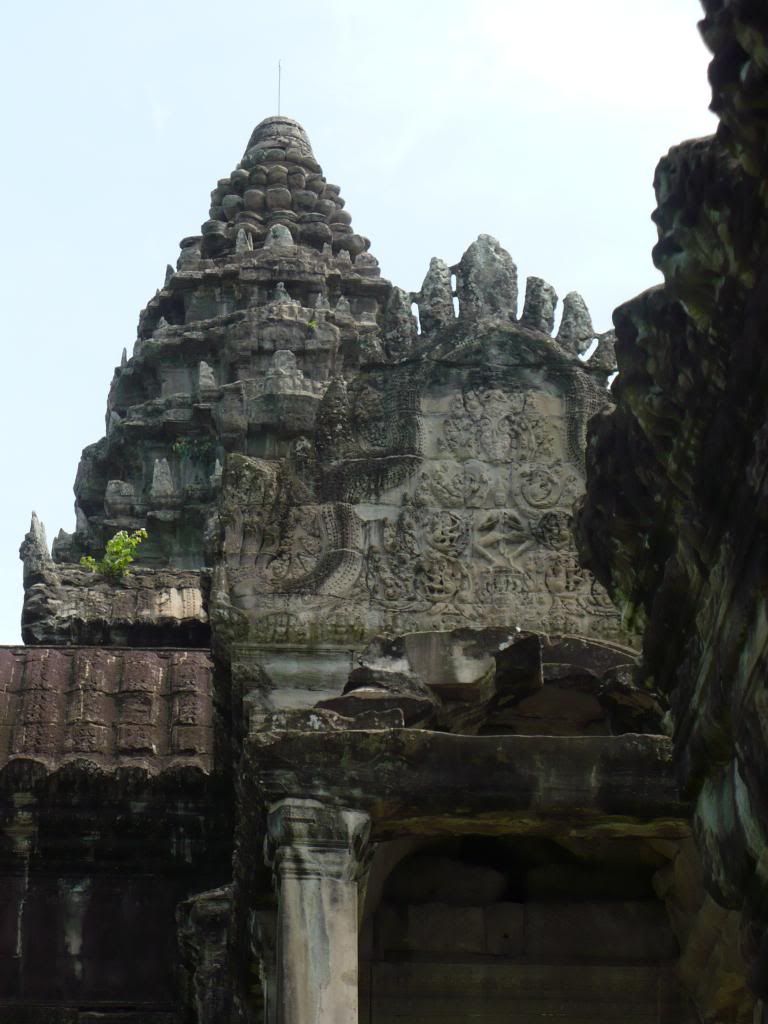 IMG315.jpg