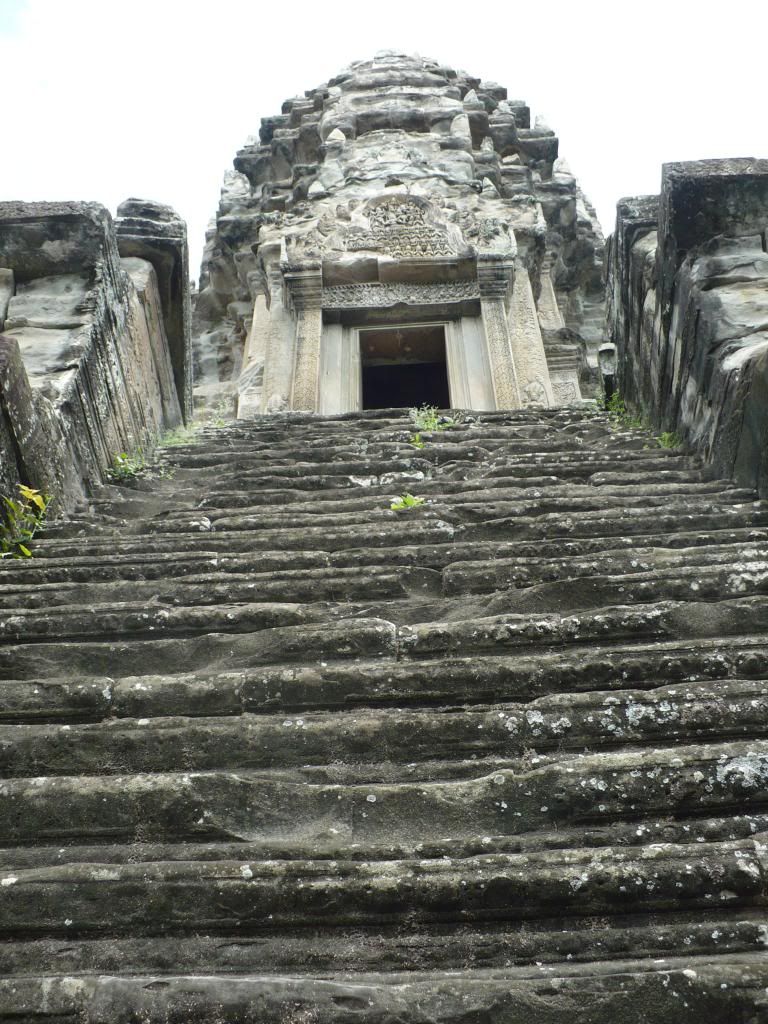 IMG318.jpg