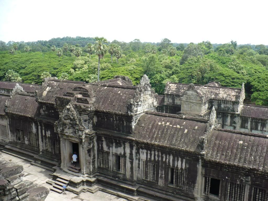 IMG319.jpg