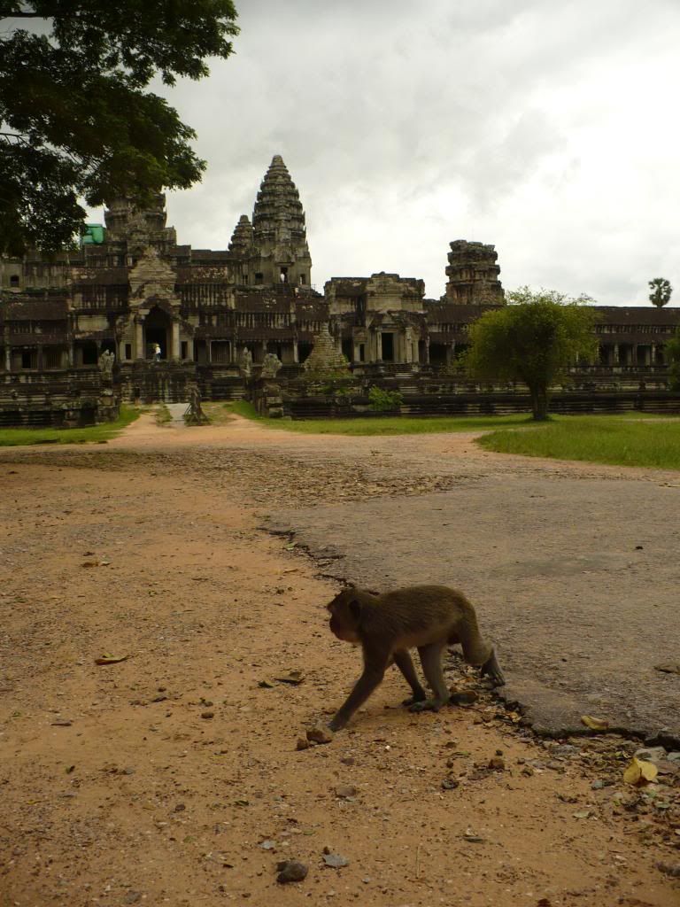 IMG332.jpg