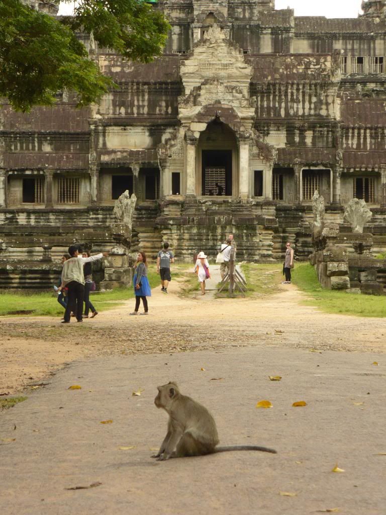 IMG333.jpg