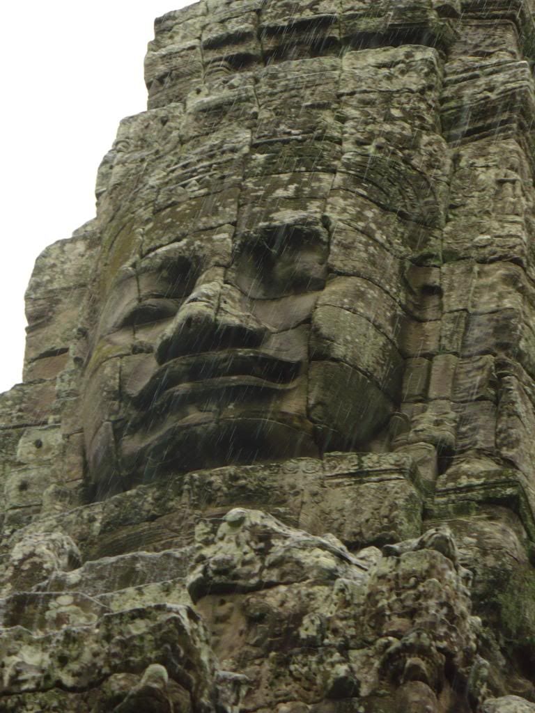 IMG341.jpg
