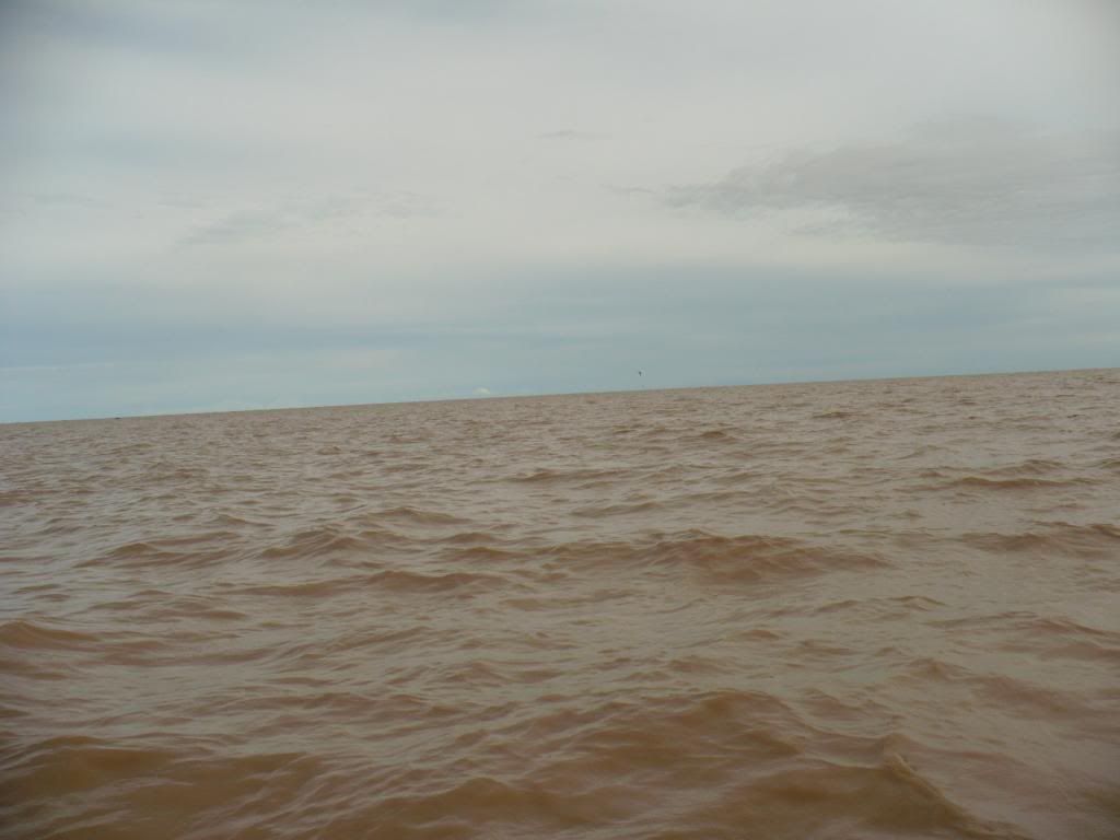 IMG365.jpg