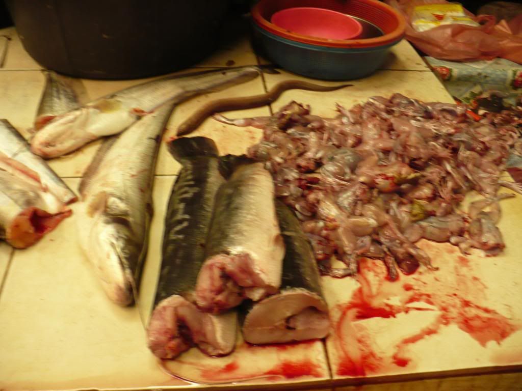 IMG376.jpg