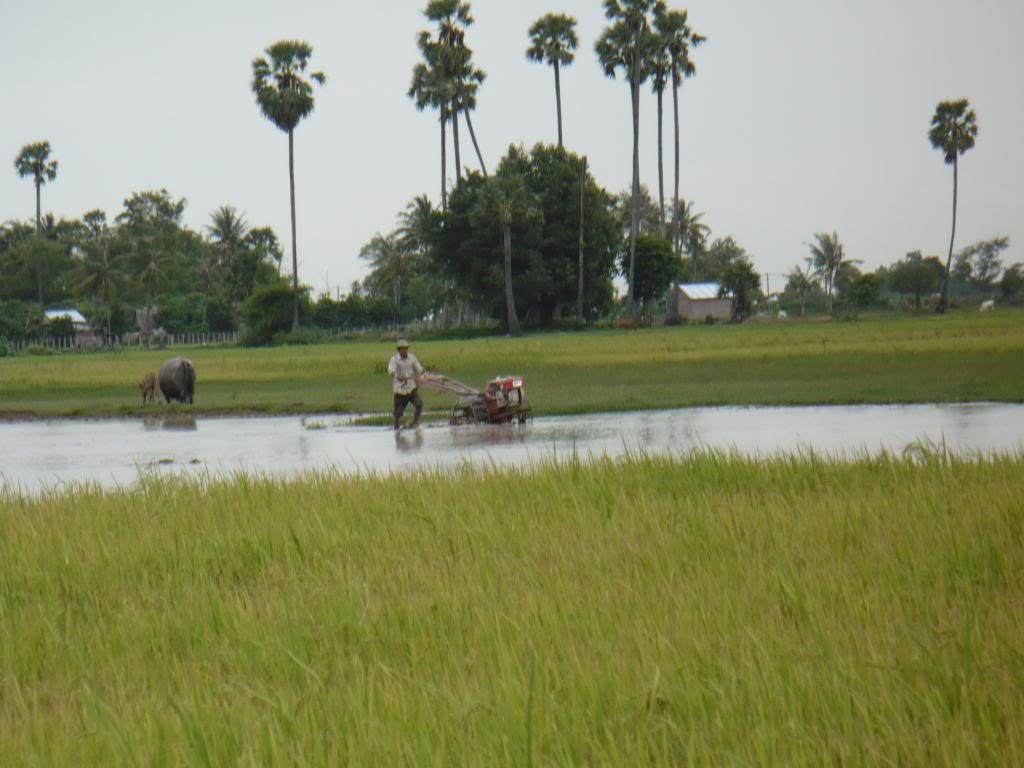 IMG385.jpg