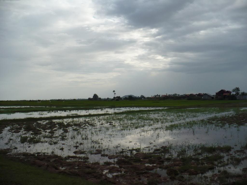 IMG386.jpg