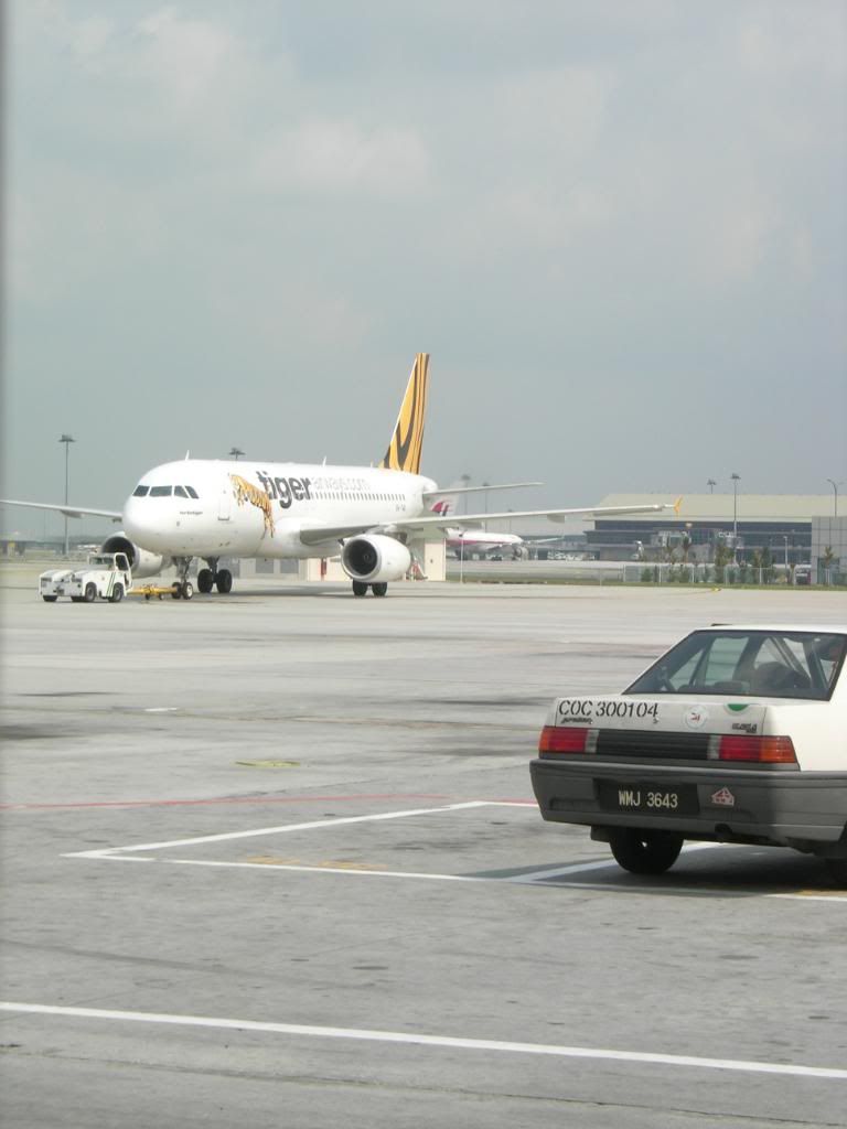 IMG432.jpg