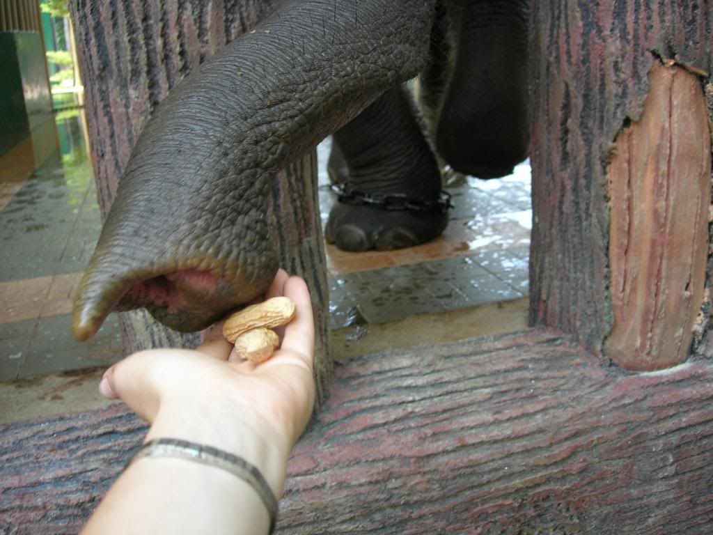 IMG467.jpg