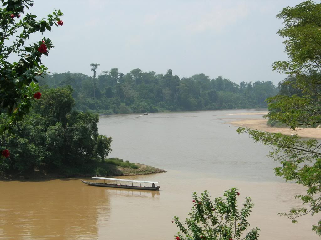 IMG472.jpg