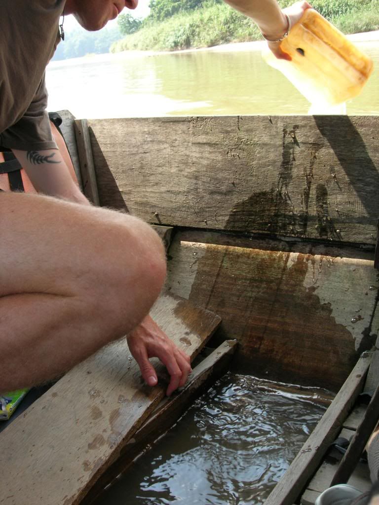 IMG474.jpg