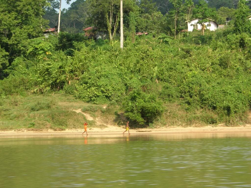 IMG481.jpg