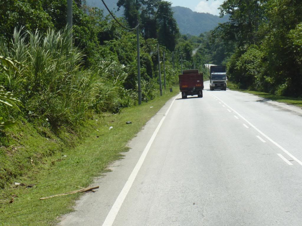 IMG483.jpg