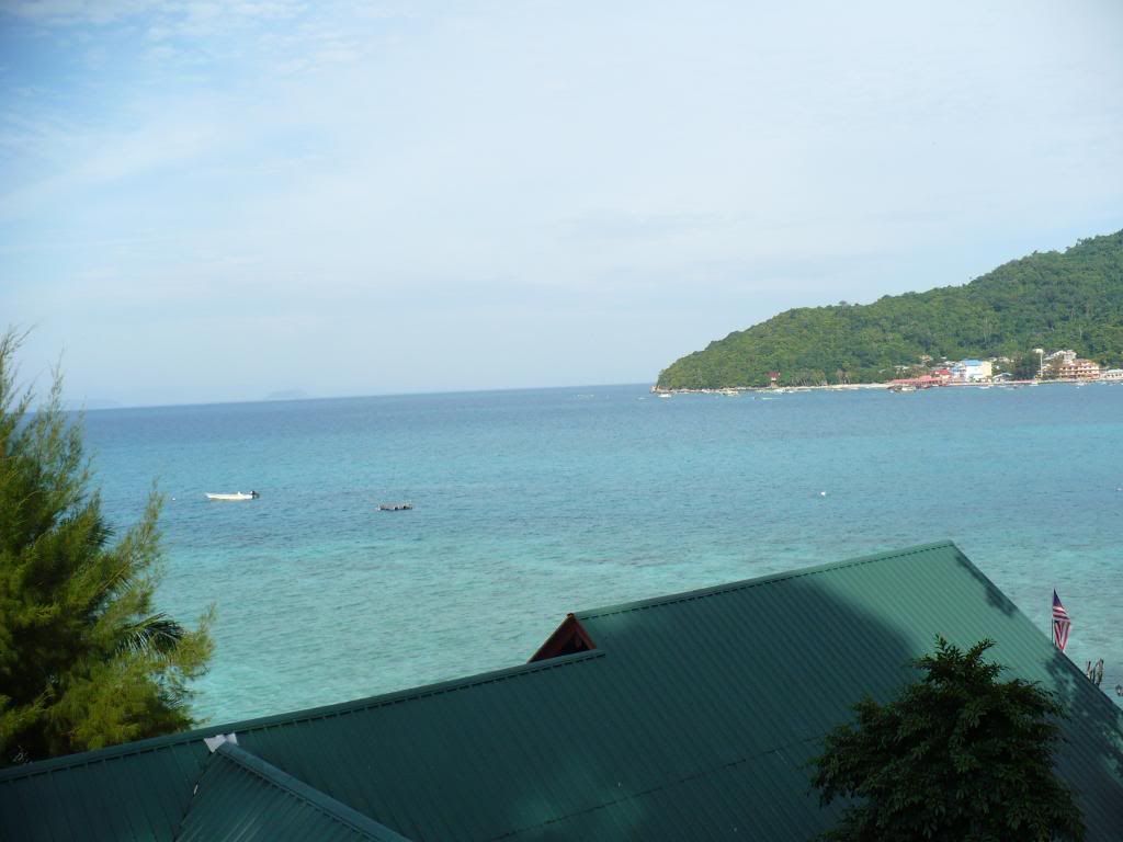 IMG484.jpg