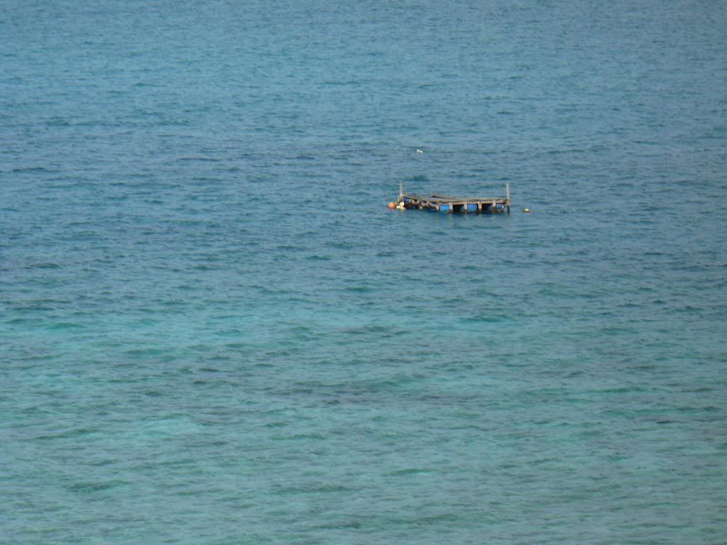 IMG485.jpg