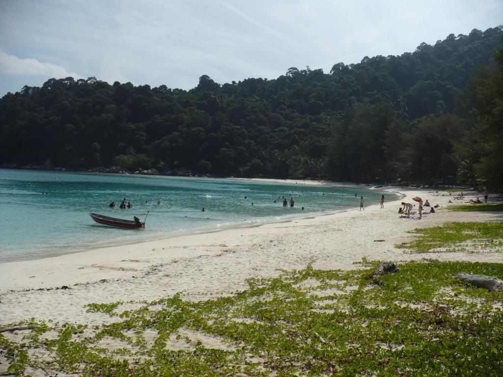 IMG488.jpg