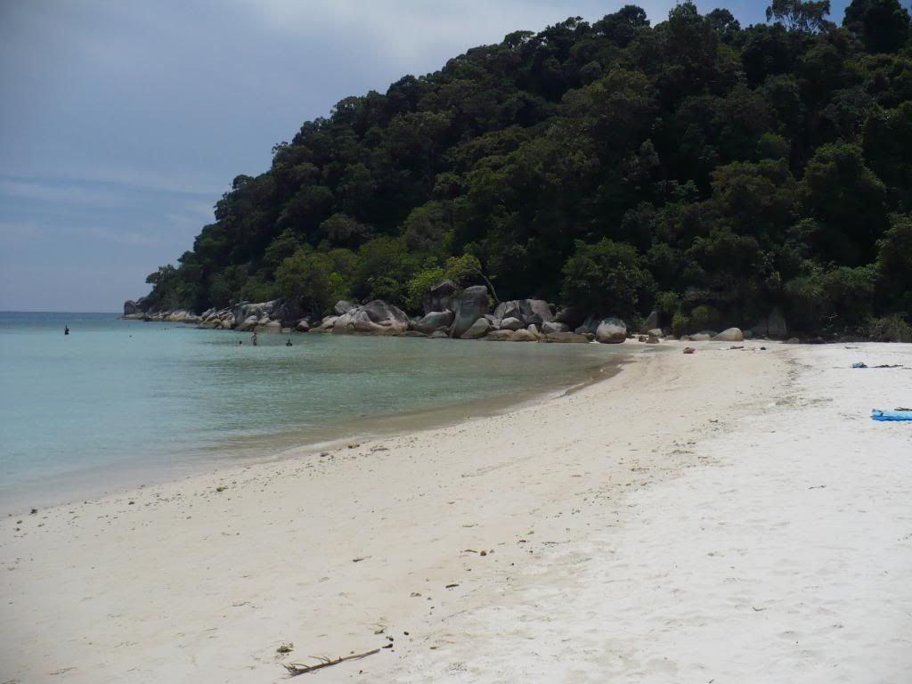 IMG490.jpg