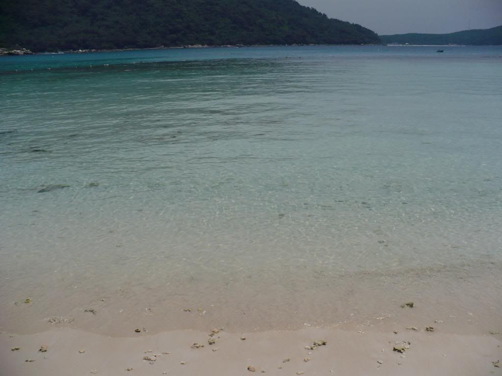 IMG491.jpg