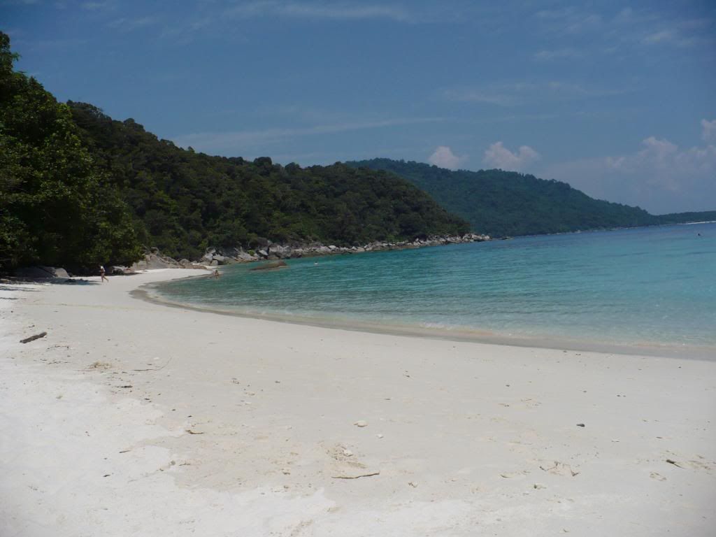 IMG499.jpg