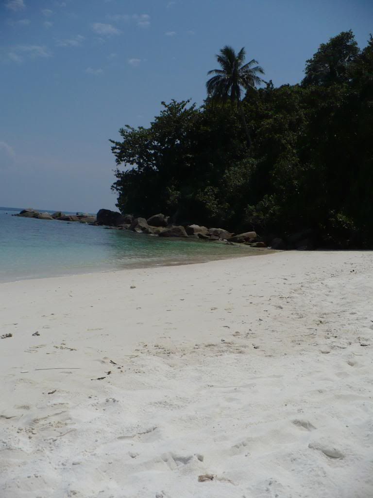 IMG500.jpg