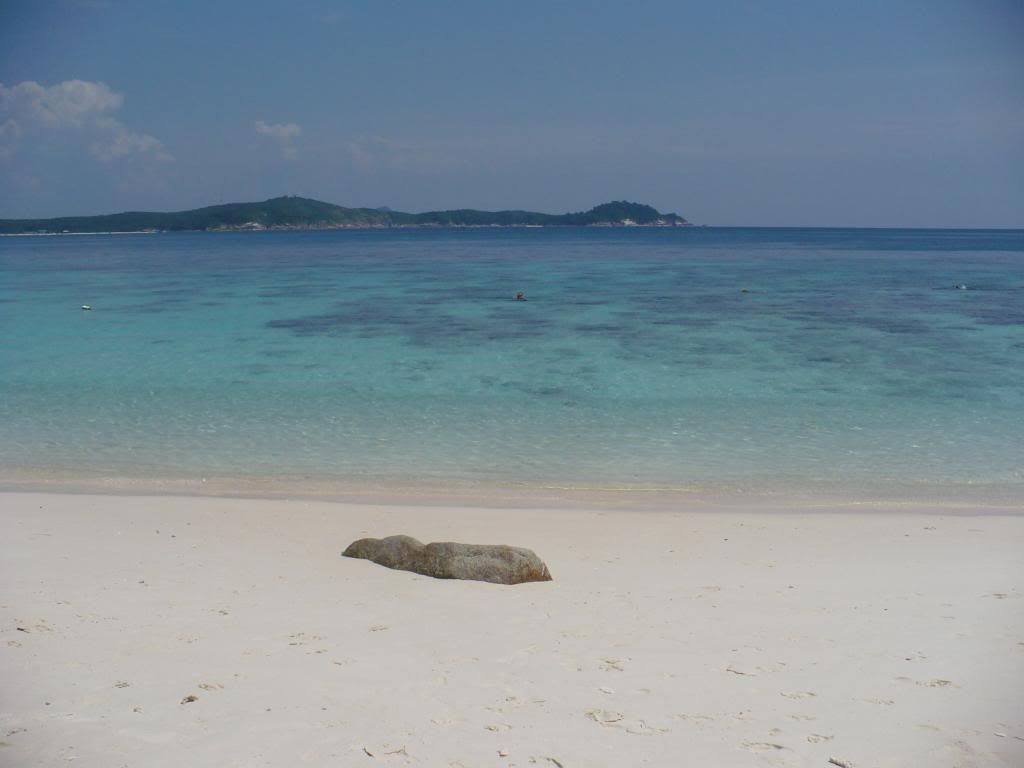 IMG501.jpg