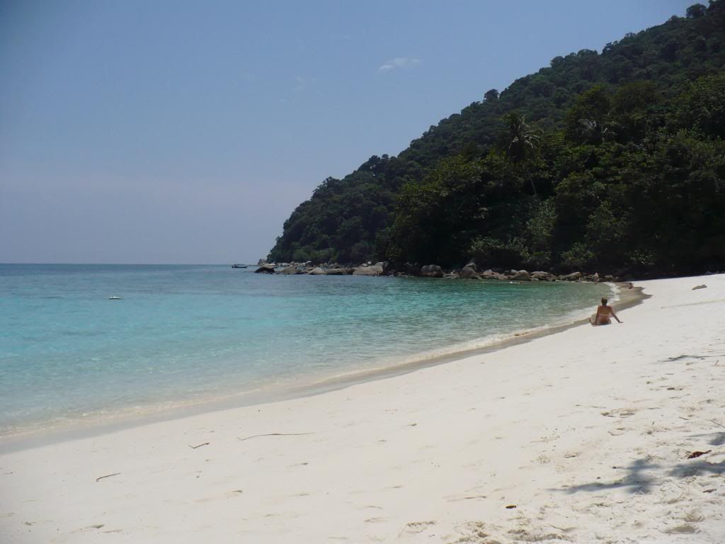 IMG504.jpg