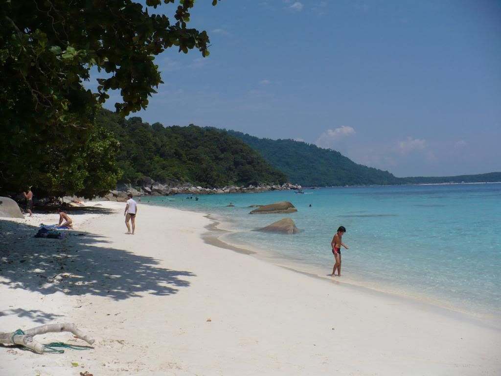 IMG505.jpg