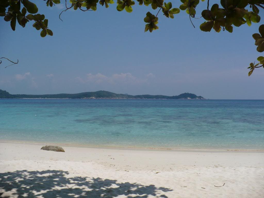 IMG506.jpg
