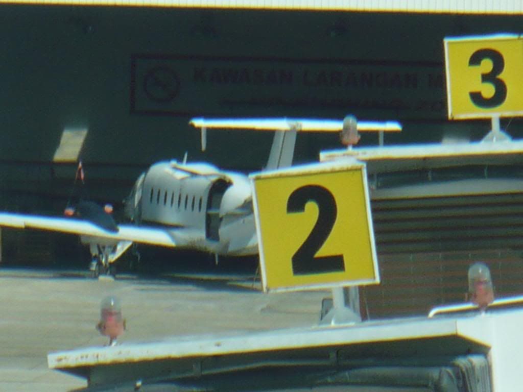 IMG529.jpg
