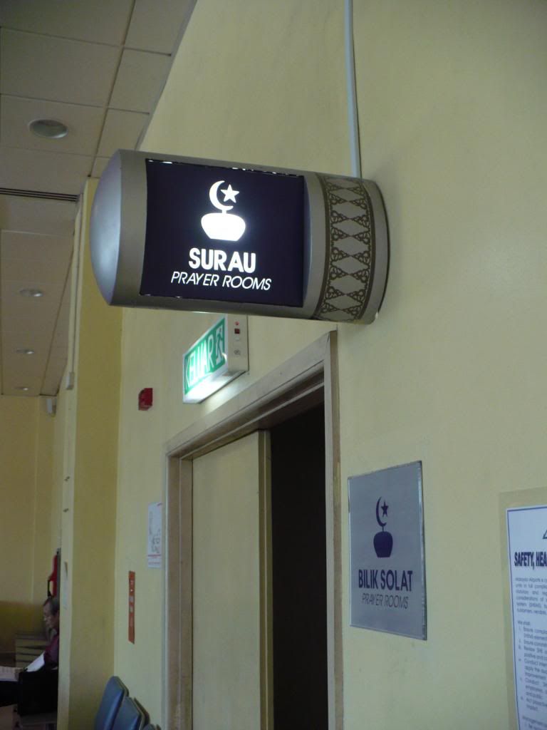 IMG531.jpg
